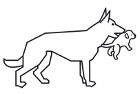 Logo HOME DOG TRAINING naef - Wabern (Bern)
