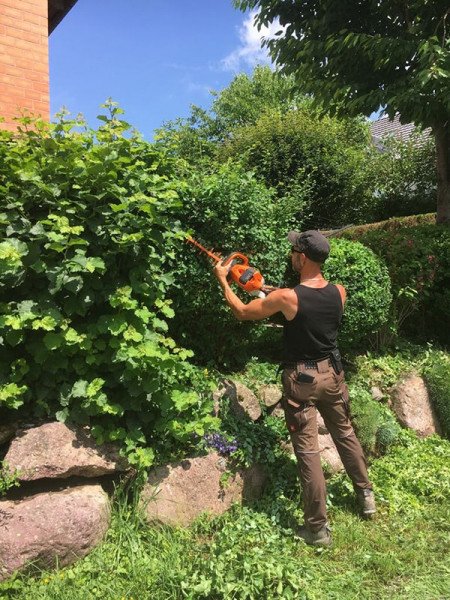 DZ Hauswartung und Gartenunterhalt